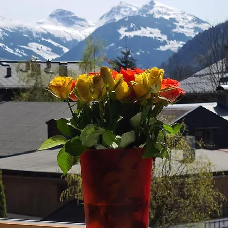 Apartament Haus Beatrice Kitzbühel